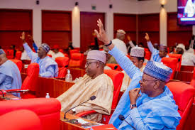 Senate Moves to Fast-Track State Police Bill Following Surge in Terror Attacks
